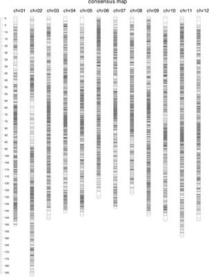 High-density linkage map construction in an autotetraploid blueberry population and detection of quantitative trait loci for anthocyanin content